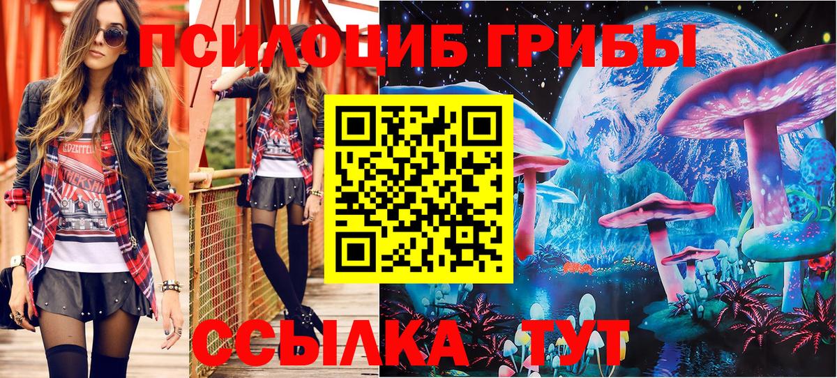 Псилоцибиновые грибы Psilocybine cubensis Семёнов